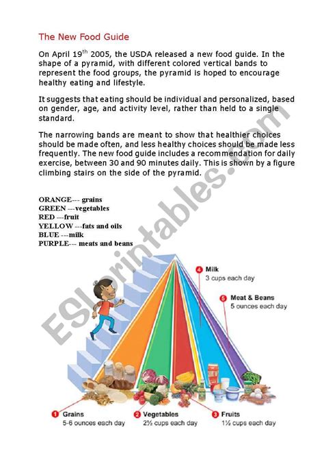 Food Pyramid Quiz
