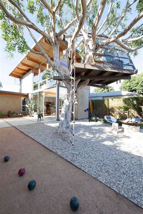 Vote For The Best Outdoor Living Space Gardenista Beautiful Tree