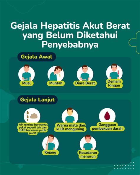 Gejala Dan Penanganan Hepatitis Akut Berat Paroki Pulo Gebang Kaj