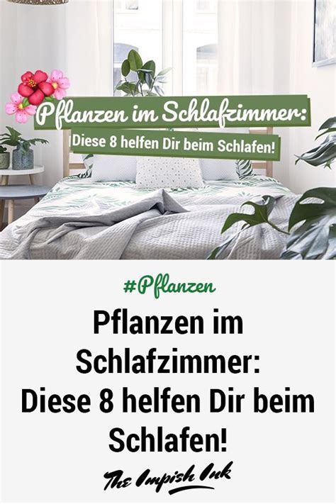 Die erstaunliche wirkung von pflanzen im schlafzimmer. Pflanzen im Schlafzimmer: Diese 8 helfen beim Schlafen ...