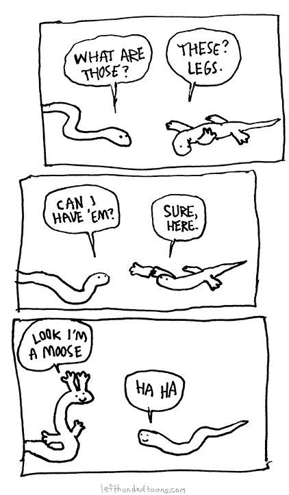 Just A Snek Noodle Dump Imgur Funny Funny Pictures Funny Cute