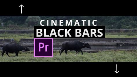 How To Add Cinematic Black Bars In Adobe Premiere Pro Cc In Just One