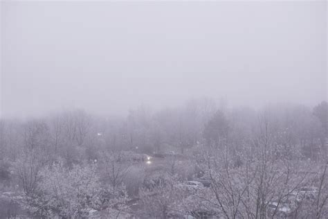Free Images Tree Forest Mountain Snow Winter Fog Mist Morning