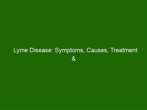 Lyme Disease Symptoms Causes Treatment And Diagnosis Health And Beauty