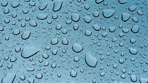 Rain Droplets Drops Closeup Surface Hd Wallpaper Wallpaper Flare