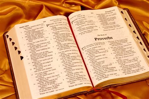 The Book Of Proverbs Gives Wisdom For Living Gods Way