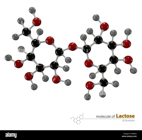 D Illustration Of Lactose Molecule Isolated White Background Stock