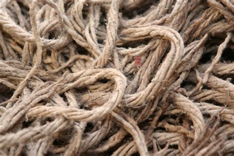 Cutting The Gordian Knot Of Your Toughest Problem