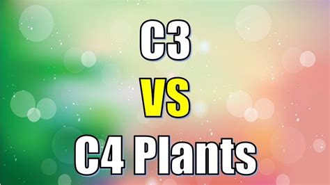 Differences Between C3 And C4 Plants Overall Science