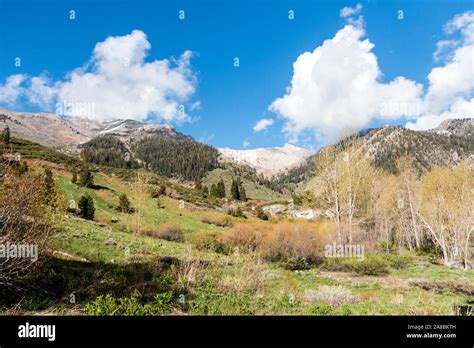 Mineral King Valley Hi Res Stock Photography And Images Alamy
