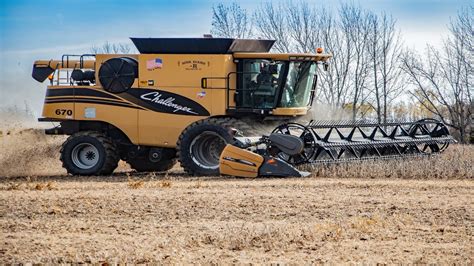 Two Challenger 670 Combines Harvesting Soybeans Youtube