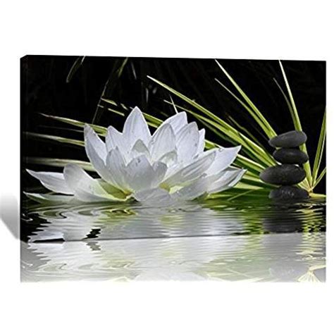 Spirit Up Art Modern Giclee Prints Framed Flower Artwork White Lotus And Black Zen Stones