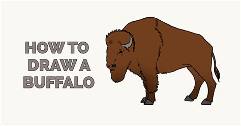 How To Draw A Buffalo Really Easy Drawing Tutorial