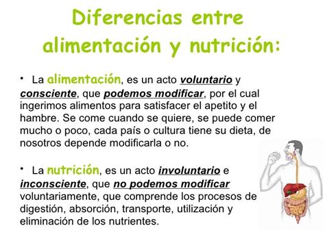 Aprendiendo A Comer Sano