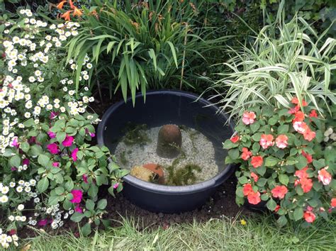 Small Pond Containers Container Pond 80cm Wide Granite Container