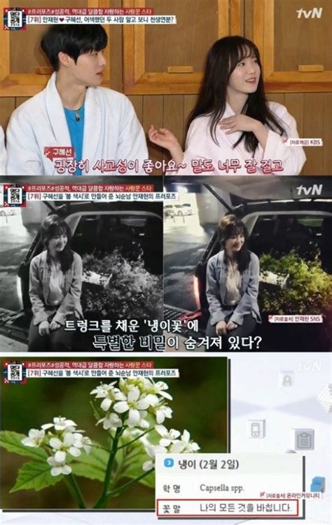 섹션 출연 구혜선 안재현과 결혼 결심한 이유는 네이트 뉴스