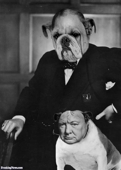 Winston Churchill And A Bulldog Modern Myth Winston Churchill Winston