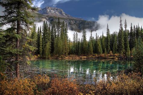 Canada Parks Lake Mountains Banff Spruce Hd Wallpaper Rare Gallery