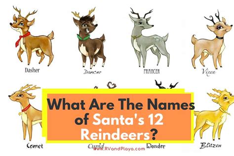 Christmas Reindeer Names How To Remember 2023 Latest Ultimate Popular