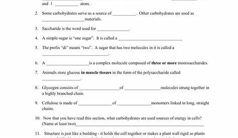 Protein Structure Worksheet Answers - Ivuyteq