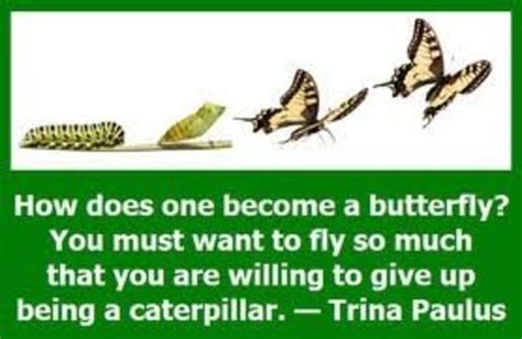 Caterpillar Butterfly Quote Quote Addicts Butterfly Quotes About