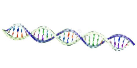 Abstract Dna Spiral Isolated On White Background Vector Illustration