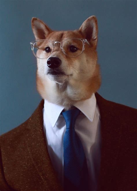 Finally The Menswear Dog Documentary We Ve All Been Waiting For Artofit