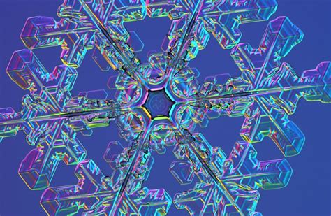 Typeless Snowflakes Under Microscope