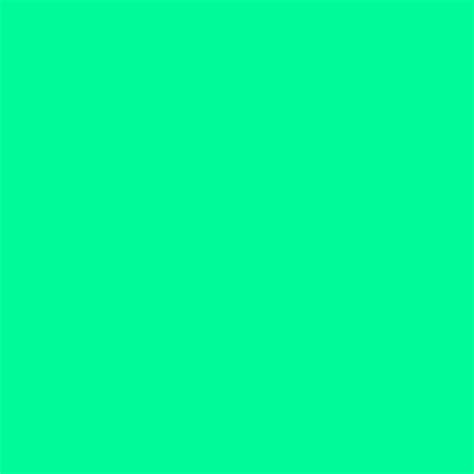2048x2048 Medium Spring Green Solid Color Background