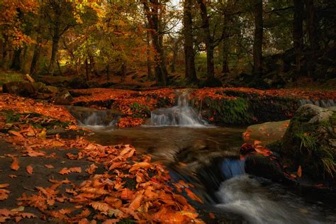 Find Fall Foliage In Ireland Ireland In The Fall Creative Irish Ts