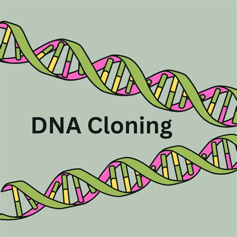 Dna Cloning Technology Exploring Its Methods And Applications