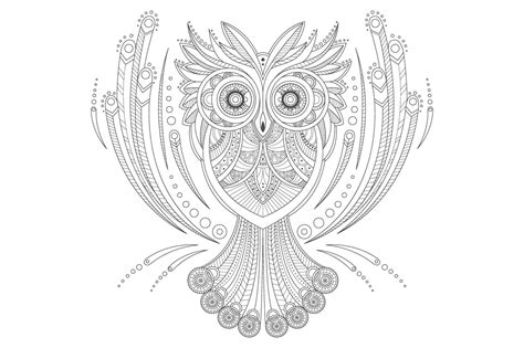 Zentangle Owl Coloring Custom Designed Illustrations