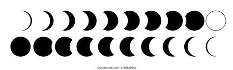 Lunar Phases Moon Phases Black Wihite Stock Vector Royalty Free