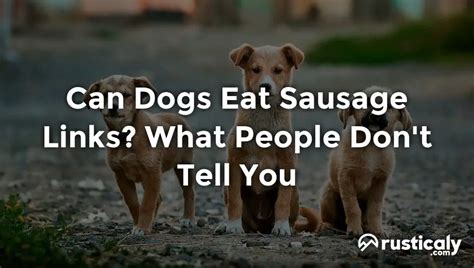 Can Dogs Eat Sausage Links Easily Explained Inside