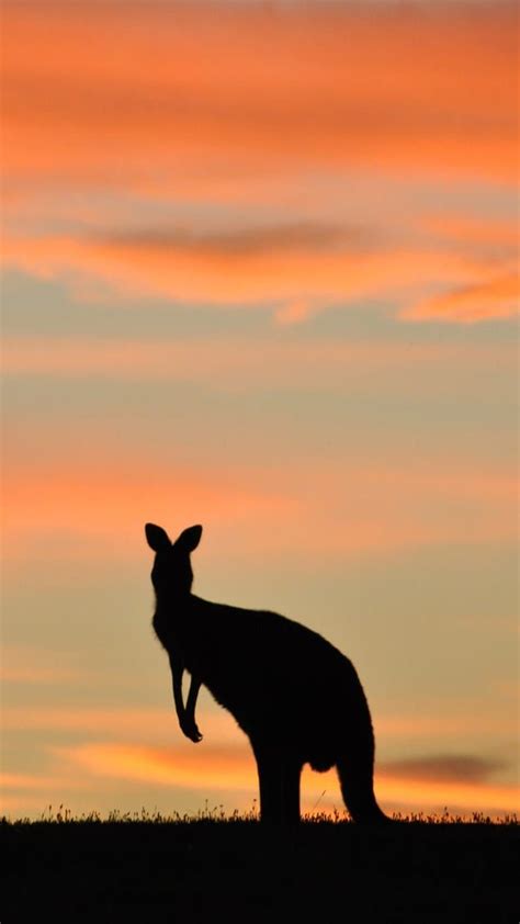 19 Iphone Wallpapers That Will Make All Aussies Proud Australia