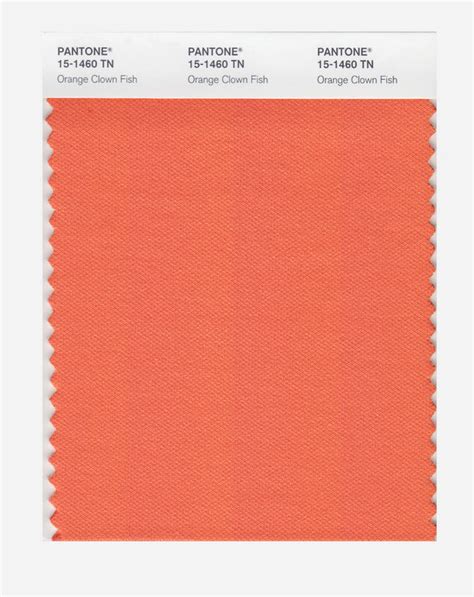 Buy Pantone Nylon Brights Swatch Card 15 1460 Tn Orange Clown Fish
