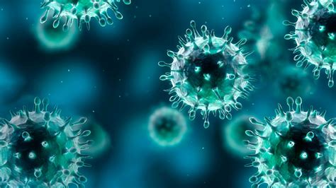 Fotos De Bacterias E Fungos