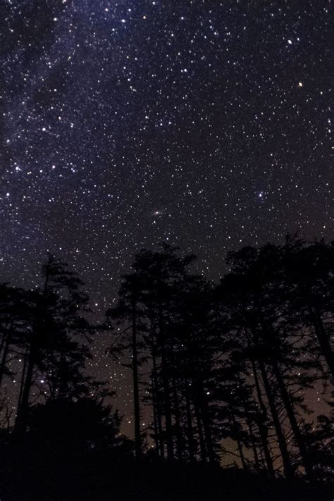 Download Wallpaper 800x1200 Stars Constellations Starry Sky Night