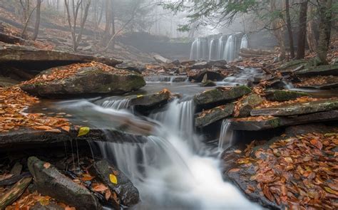 Wallpaper Trees Landscape Forest Fall Leaves Waterfall Rock