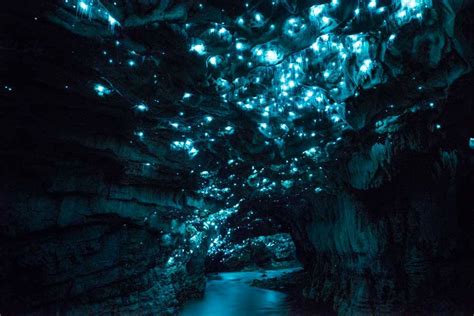 Floating Through The Waitomo Glowworm Caves Explore Shaw