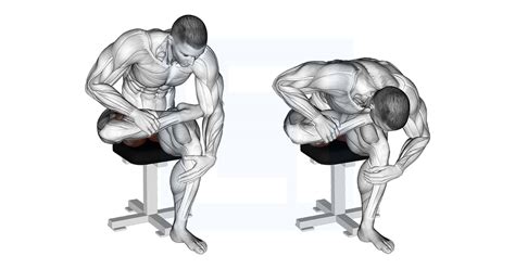 Seated Piriformis Stretch Guide Benefits And Form