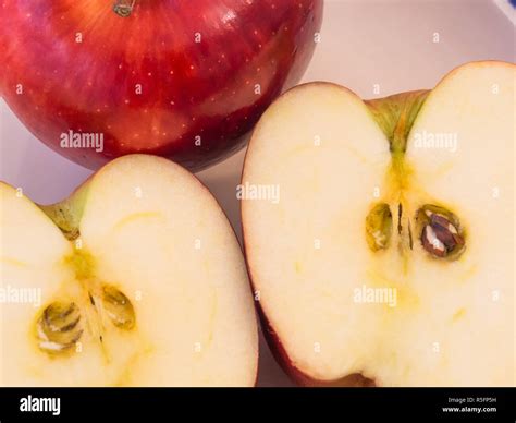 Apple Cut In Half With Seeds And Pulp To Show Stock Photo Alamy