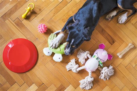 How To Make Your Own Dog Toys Diydoggytraining