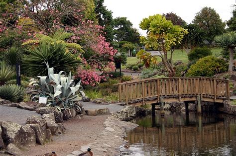 Auckland Botanic Gardens Botanical Gardens Garden Bridge Botanical