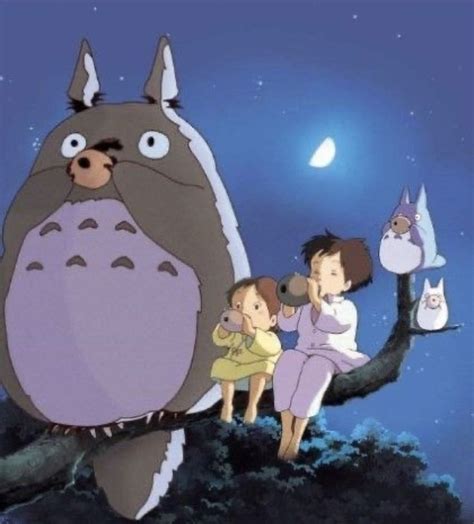 Studio Ghibli Totoro Totoro Ghibli Studio Ghibli
