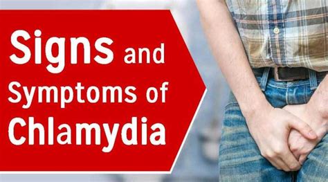 Chlamydia Symptoms Male Drbeckmann