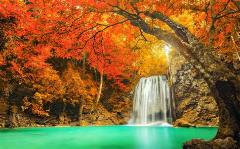 Landscape Nature Colorful Waterfall Trees Fall Red