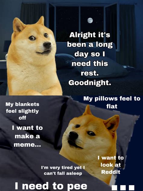 Le 2am Insomnia Has Arrived Rdogelore Ironic Doge Memes Know