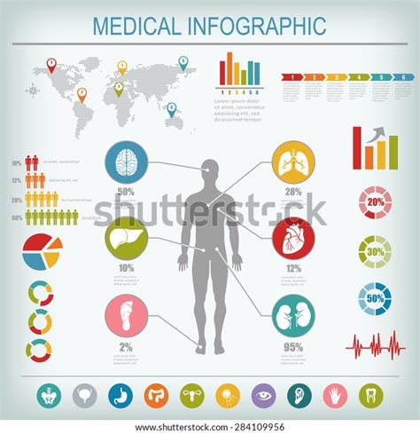 Medical Infographics Elements Human Body Internal Stock Illustration