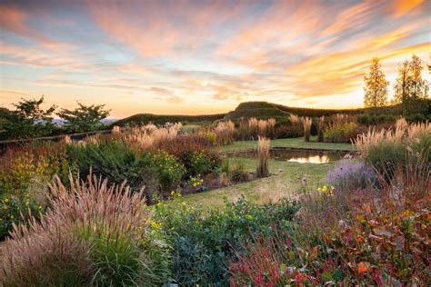 A Prairie Garden At Redhill Lodge In Rutland In 2020 Prairie Garden